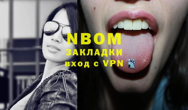 стаф Чекалин